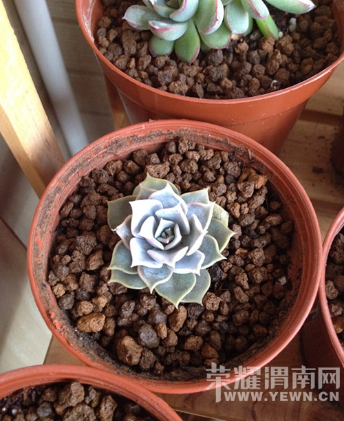 20141126_103054_006.jpg