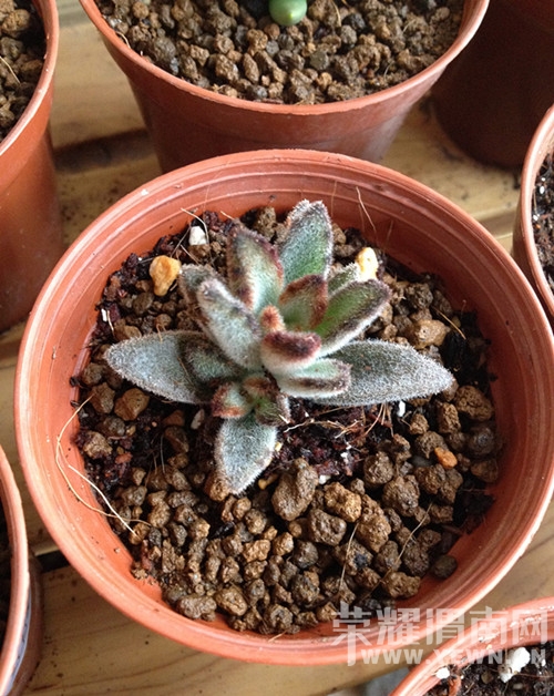 20141126_103054_011.jpg