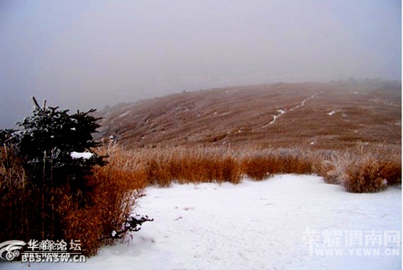 124_529149_7a13b5906ab63e4.jpg