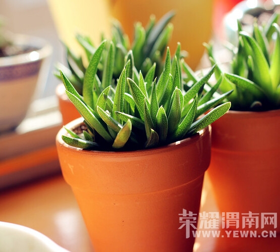 QQ��ͼ20141201120611.jpg