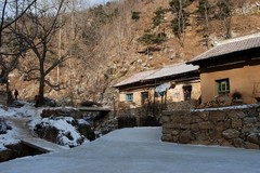 9303480_240.jpg