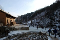 9303482_240.jpg