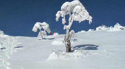 t0129bd76cbf303b6ab.jpg