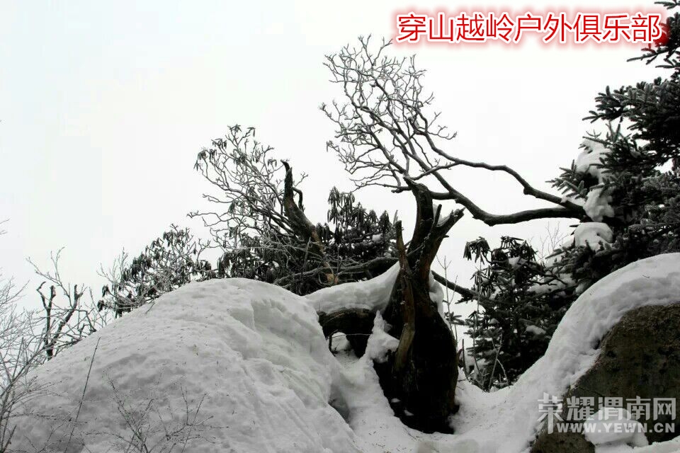 QQͼƬ20141209114933_.jpg