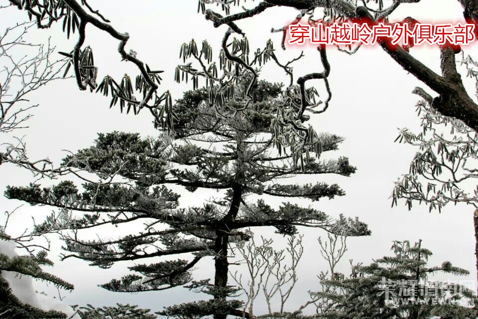 QQͼƬ20141209115003_.jpg