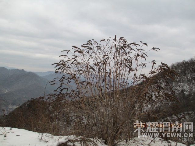 IMG_3266.JPG