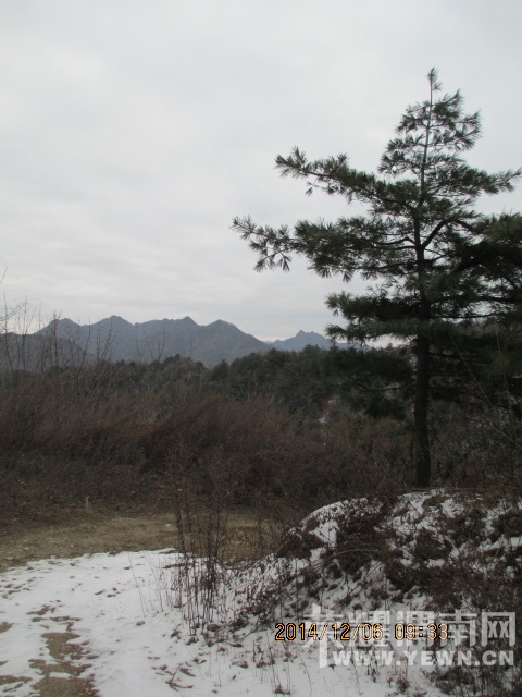 IMG_3196.JPG