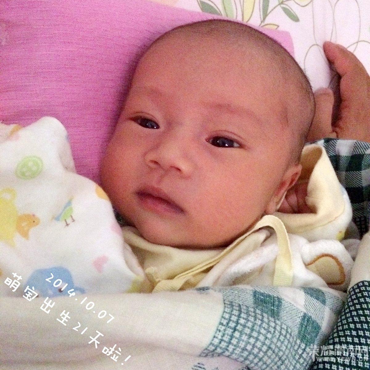 2014-10-07 000437.jpg