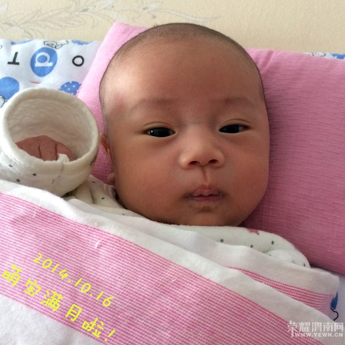 2014-10-16 103954.jpg