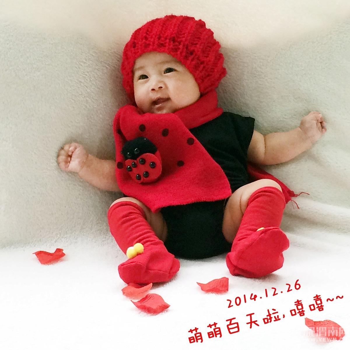 2014-12-26 110851.jpg