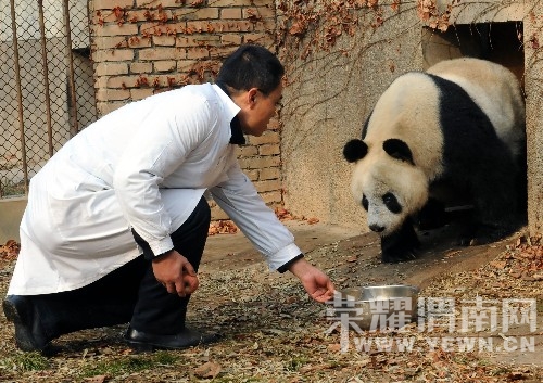 ���о�����Ȧ���Ĵ���è��