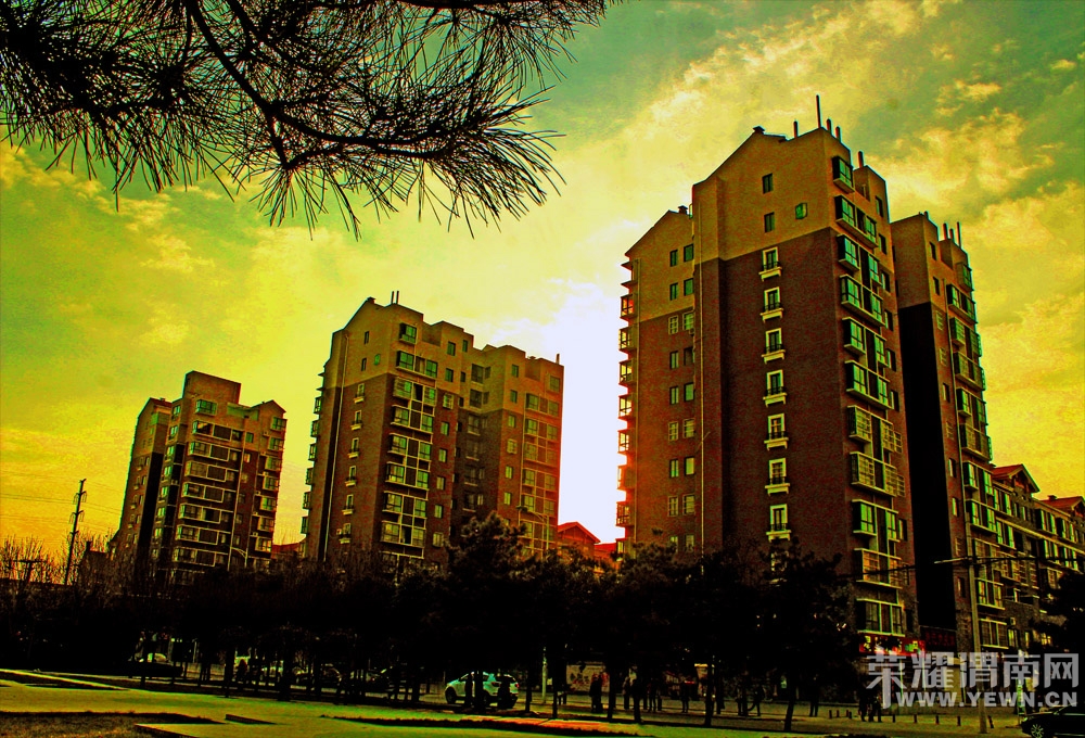 095619jppbk8nkwfww585p.jpg