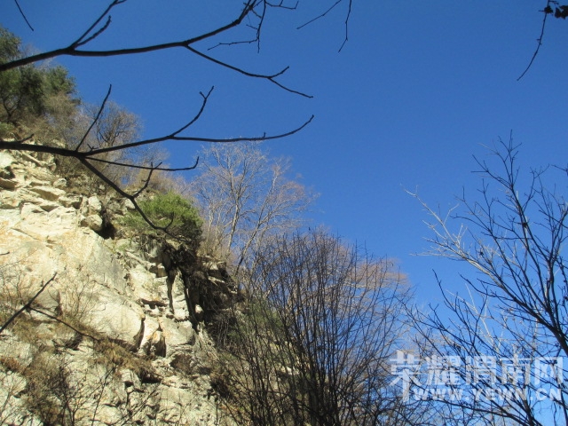 IMG_4424.JPG