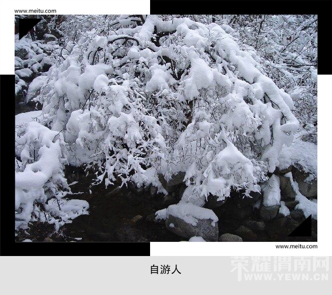 QQͼƬ20150119175035_.jpg