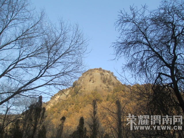 IMG_4571.JPG
