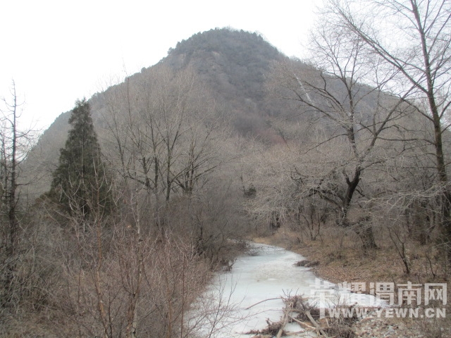 IMG_4726.JPG