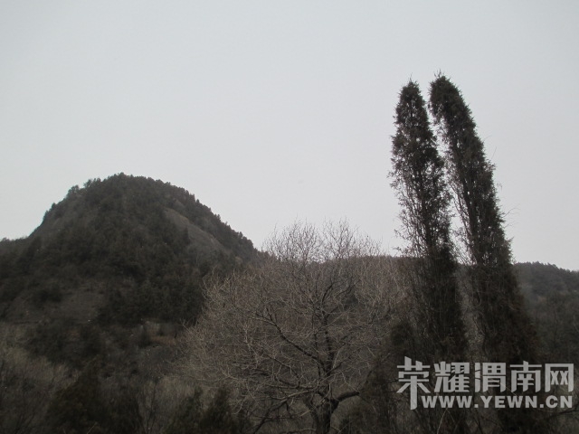 IMG_4728.JPG