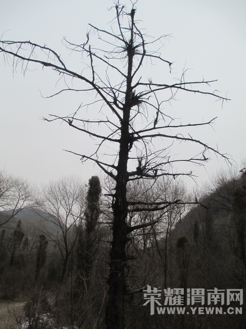 IMG_4730.JPG