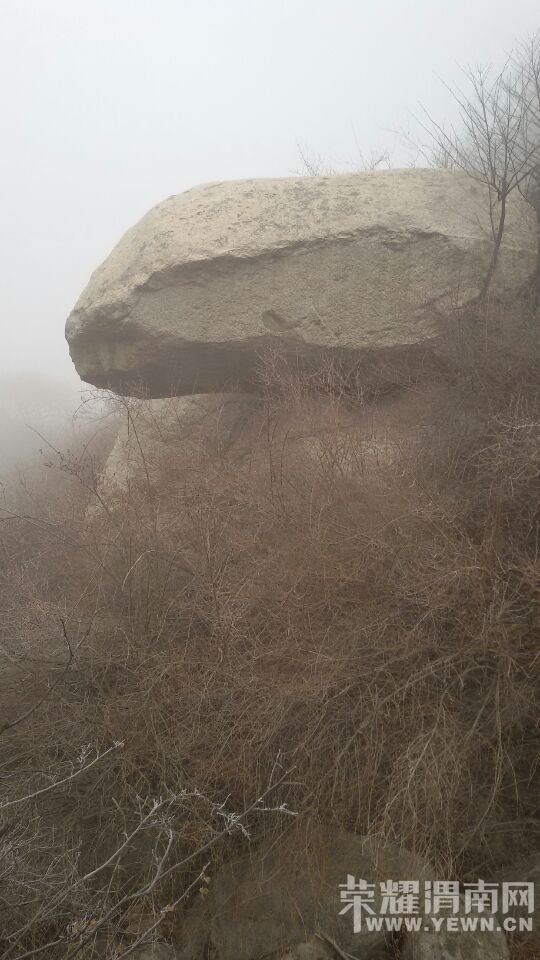 QQͼƬ20150127105025.jpg