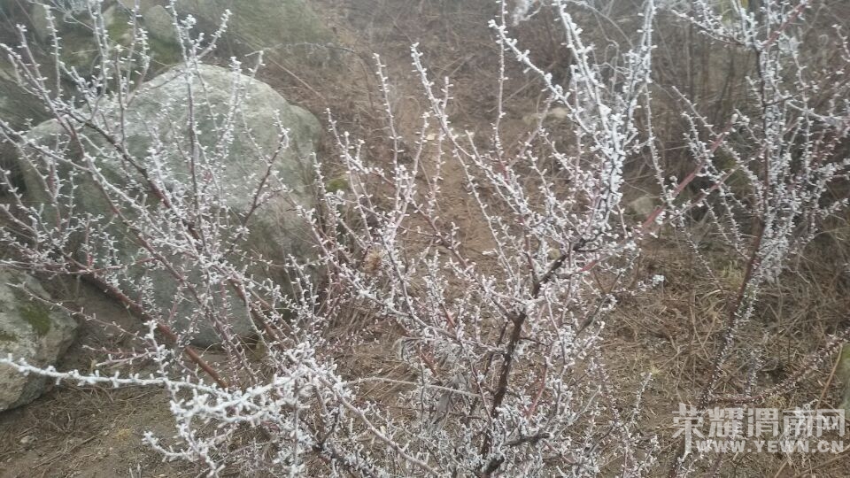QQͼƬ20150127105030.jpg