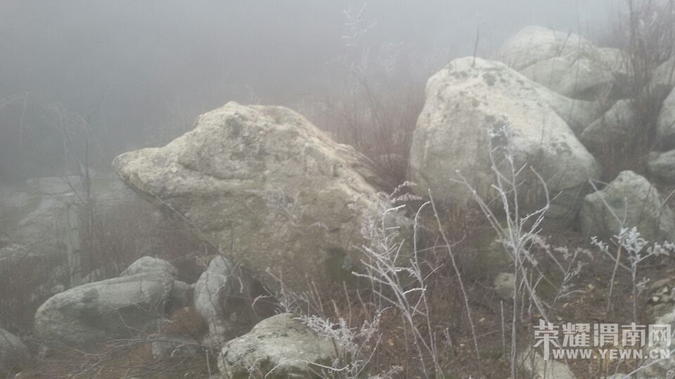 QQͼƬ20150127105048.jpg