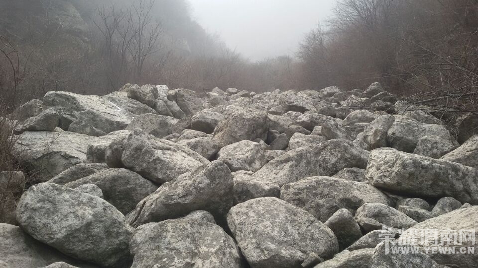 QQͼƬ20150127105143.jpg