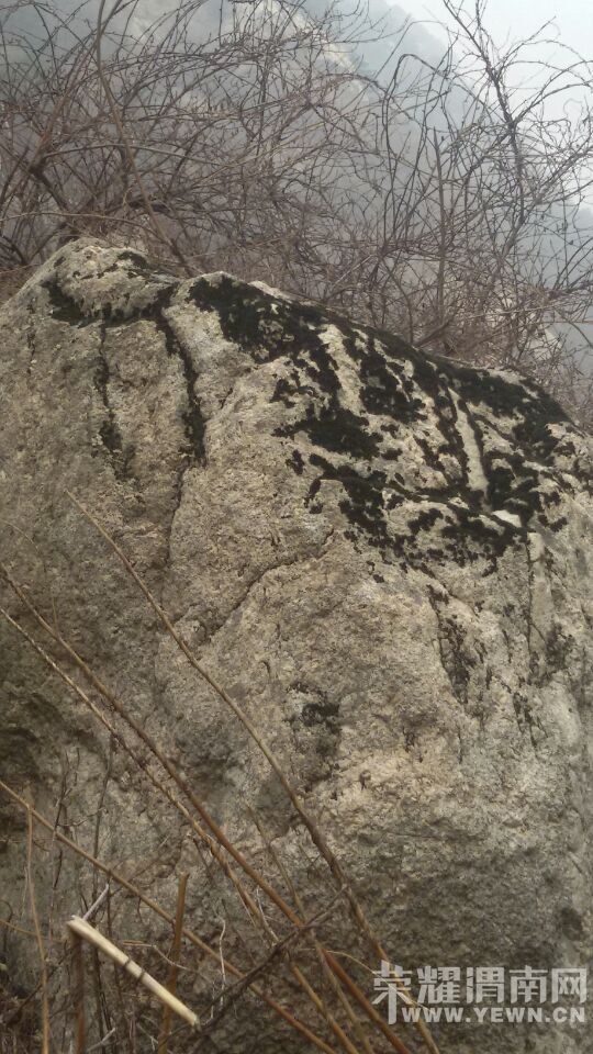 QQͼƬ20150127105153.jpg
