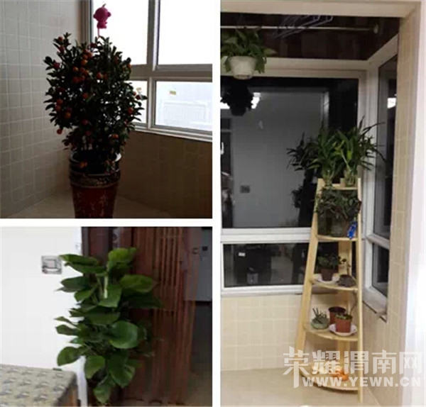 QQ��ͼ20150129163450.jpg