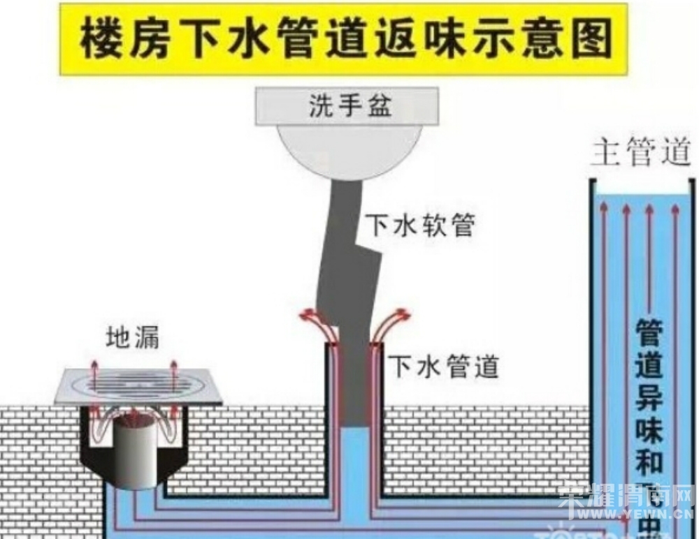 163124mc617c918cq450zz.jpg
