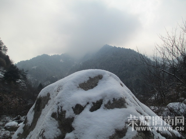 IMG_4918.JPG