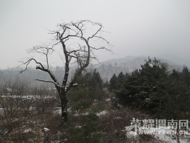 IMG_5042.JPG