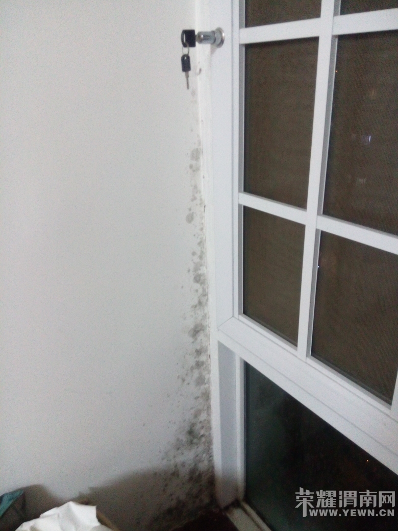 021207tp3bhxprnwnwedep.jpg