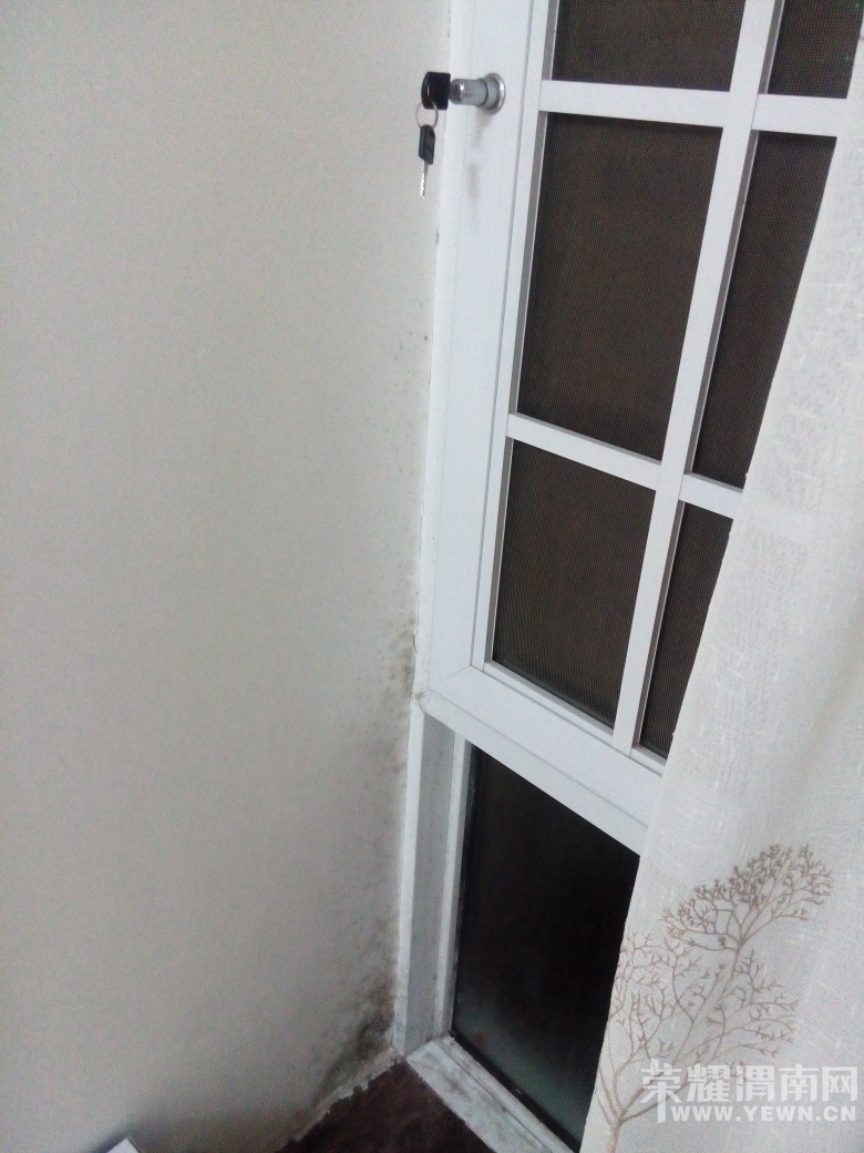 021207uzj3zrjm369hfmo6.jpg