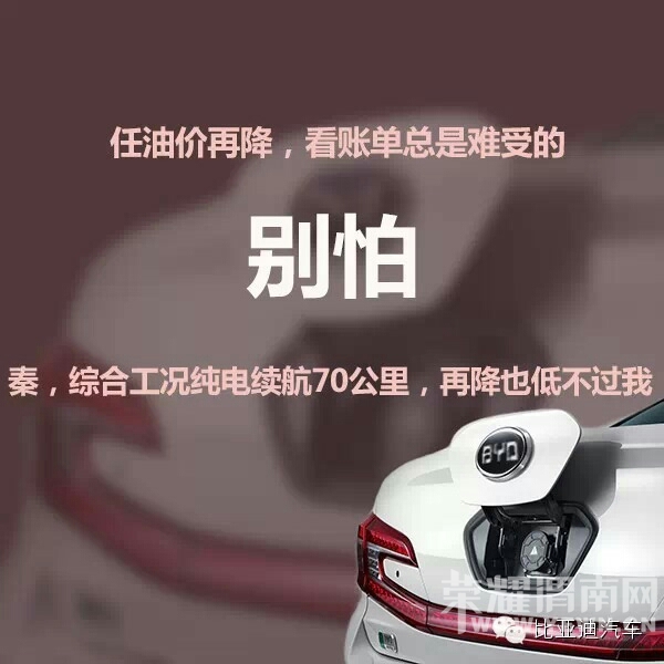 165934vlh4h5jh4yyrjmmy.jpg