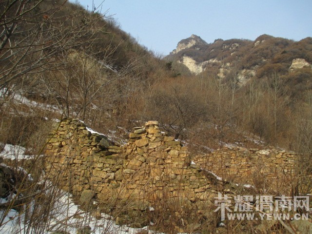 IMG_5141.JPG
