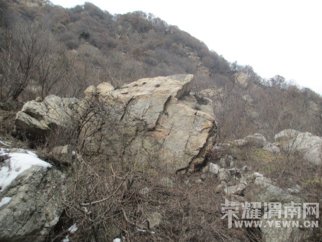 IMG_5223.JPG