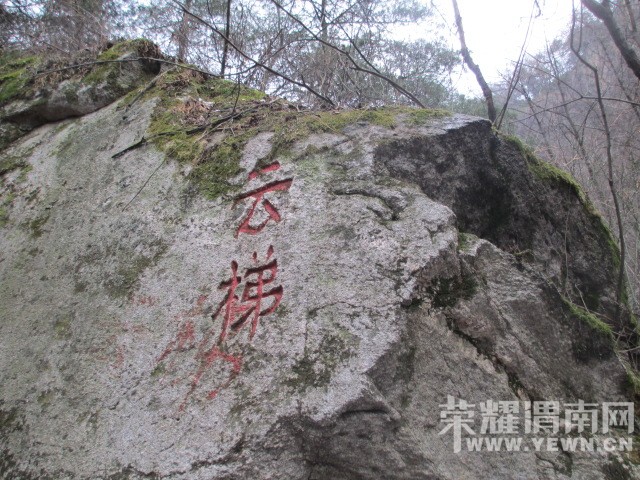 IMG_5295.JPG