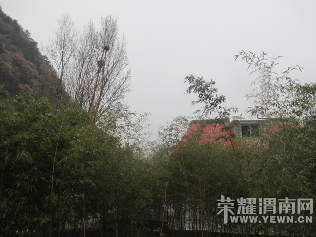 IMG_5447.JPG