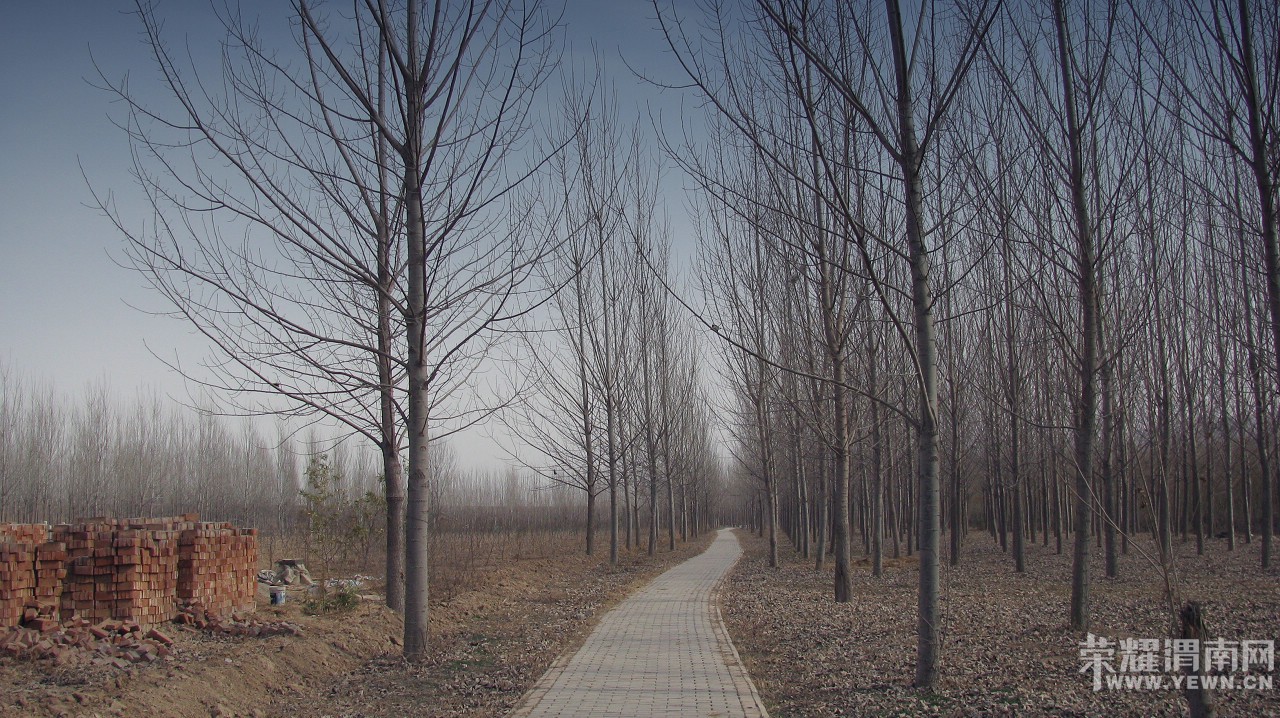 A7.jpg