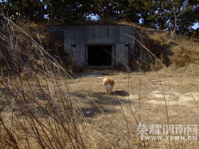 DSCF0274.JPG