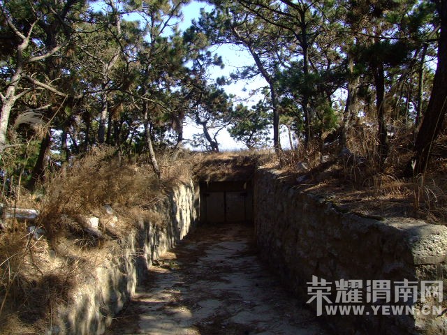 DSCF0288.JPG