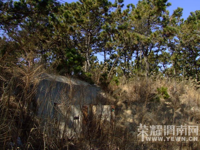 DSCF0144.JPG