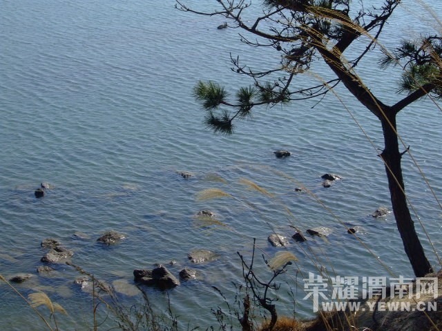 DSCF0140.JPG