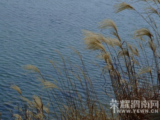 DSCF0146.JPG