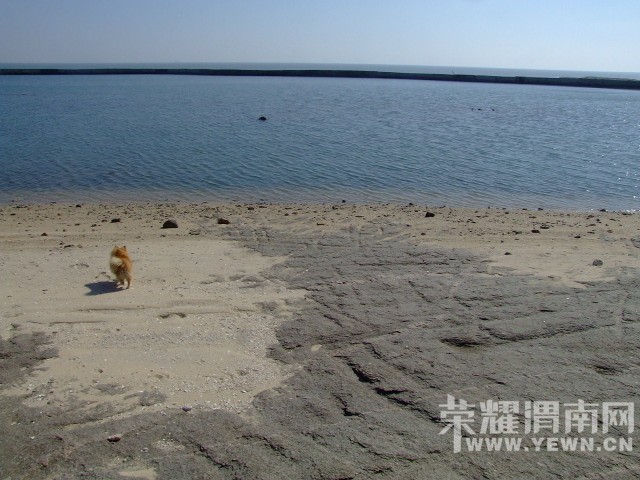 DSCF0152.JPG