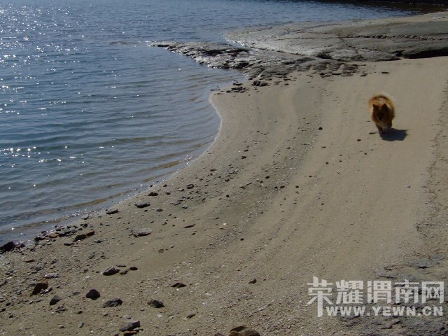 DSCF0156.JPG