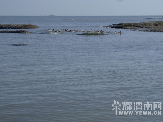 DSCF0172.JPG