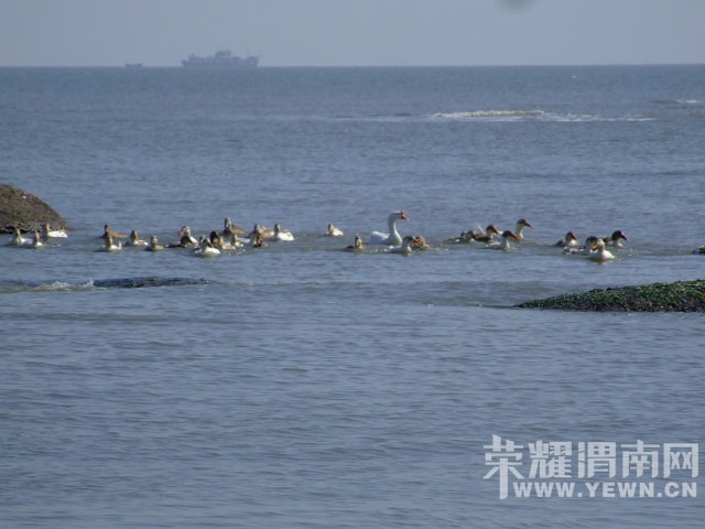 DSCF0171.JPG