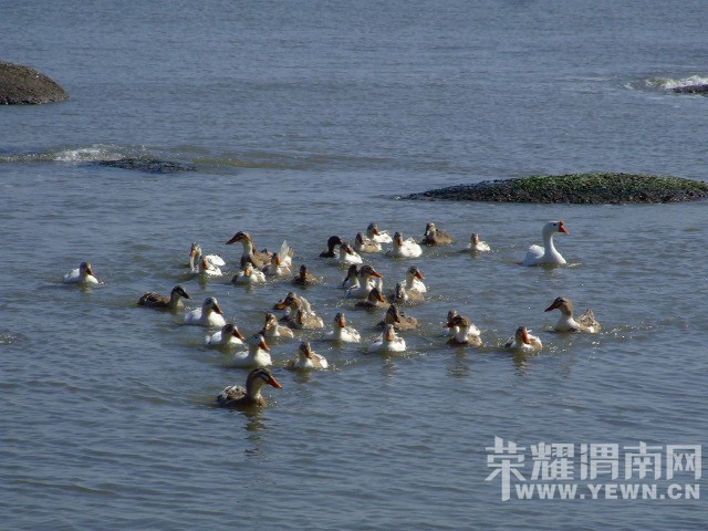 DSCF0174.JPG