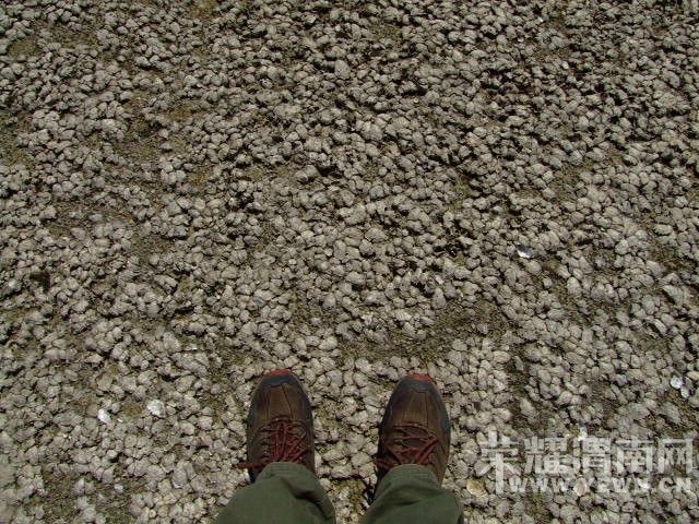 DSCF0178.JPG